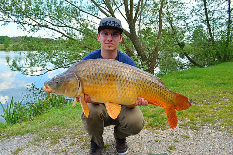 Horgászat - Sárberki Horgásztó